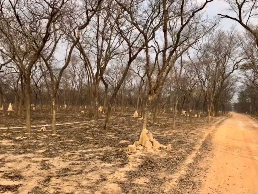 Huíla - Município do Cuvango, 2019. Ilda Amaro